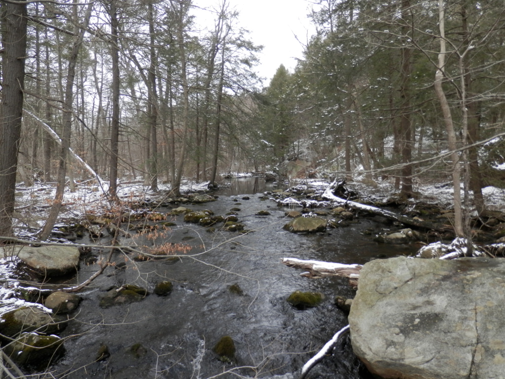 “Never underestimate the power of dreams and the influence of the human spirit. We are all the same in this notion: The potential for greatness lives within each of us.” —Wilma Rudolph
Celebrate Black History Month