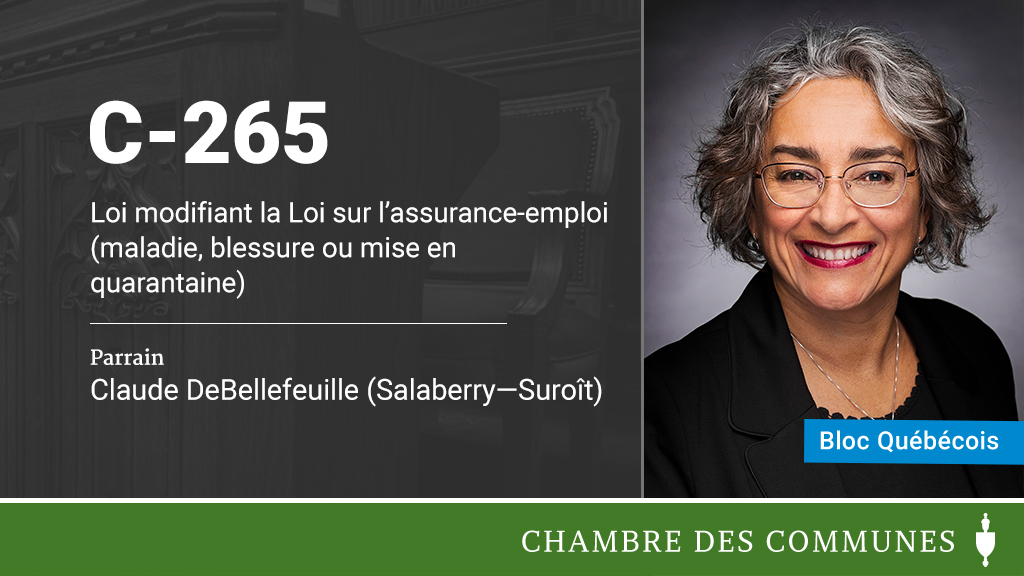 CdcChambre's tweet photo. .@ClaudeDBF_bq a déposé le projet de loi #C265 à la #Cdc. https://t.co/SeqF9Ye3gy