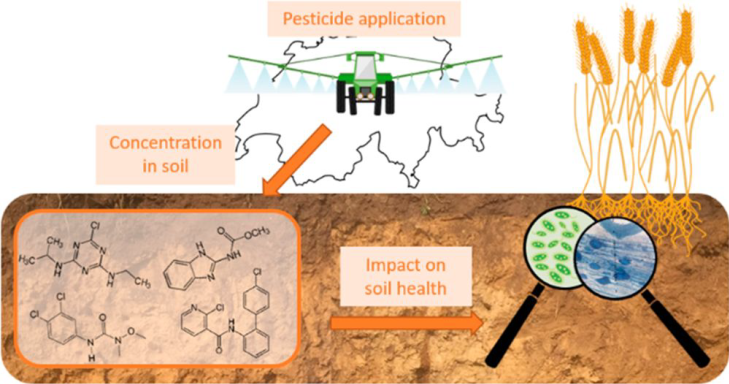 Auf Spurensuche nach Pestiziden in Schweizer Landwirtschaftsböden: Agroscope analysierte in einer umfassenden Studie die Verbreitung von Pflanzenschutzmittelrückständen und deren potenzielle Auswirkungen auf das Bodenleben.
➡️ agroscope.admin.ch/agroscope/de/h…