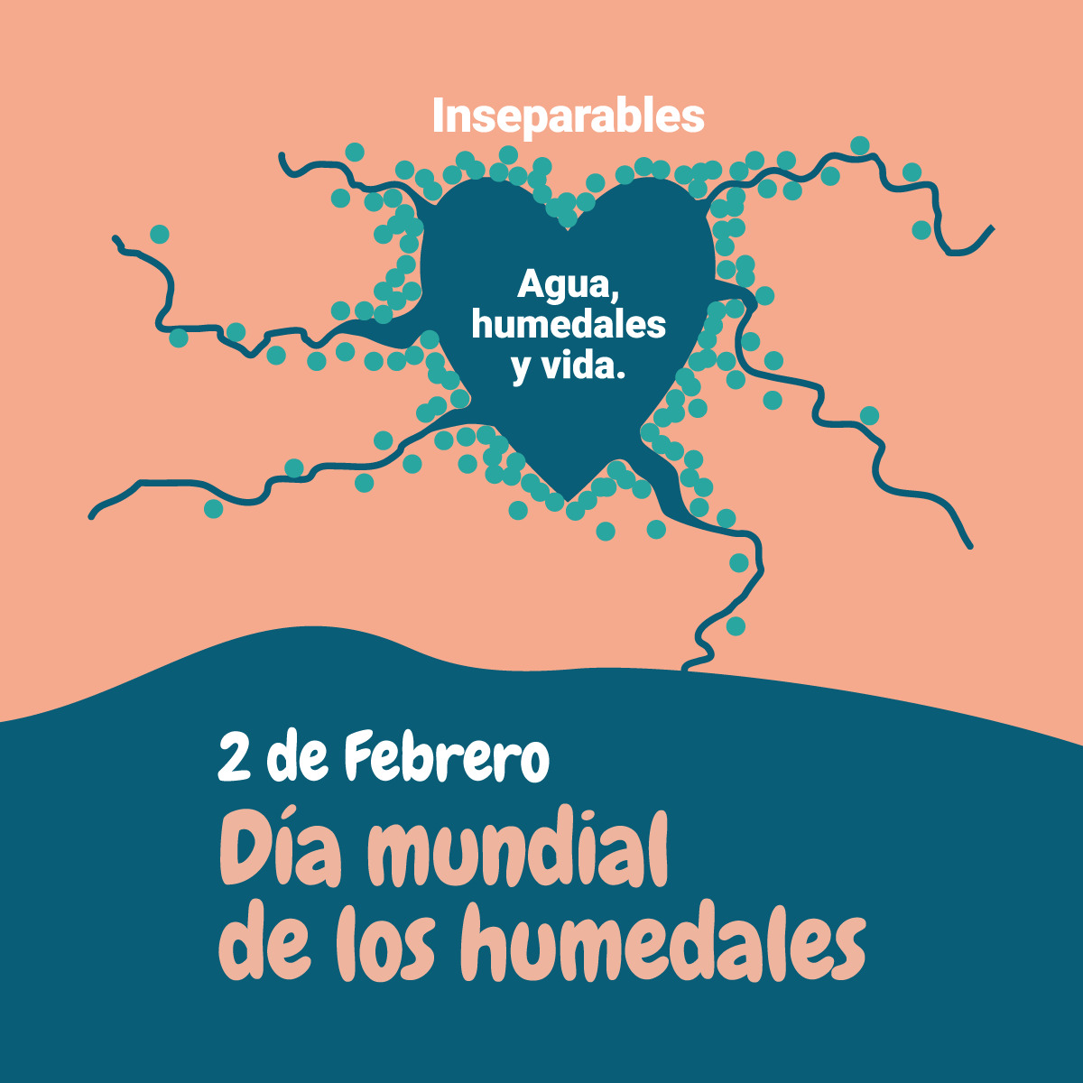 Turismo Lobos tweet media