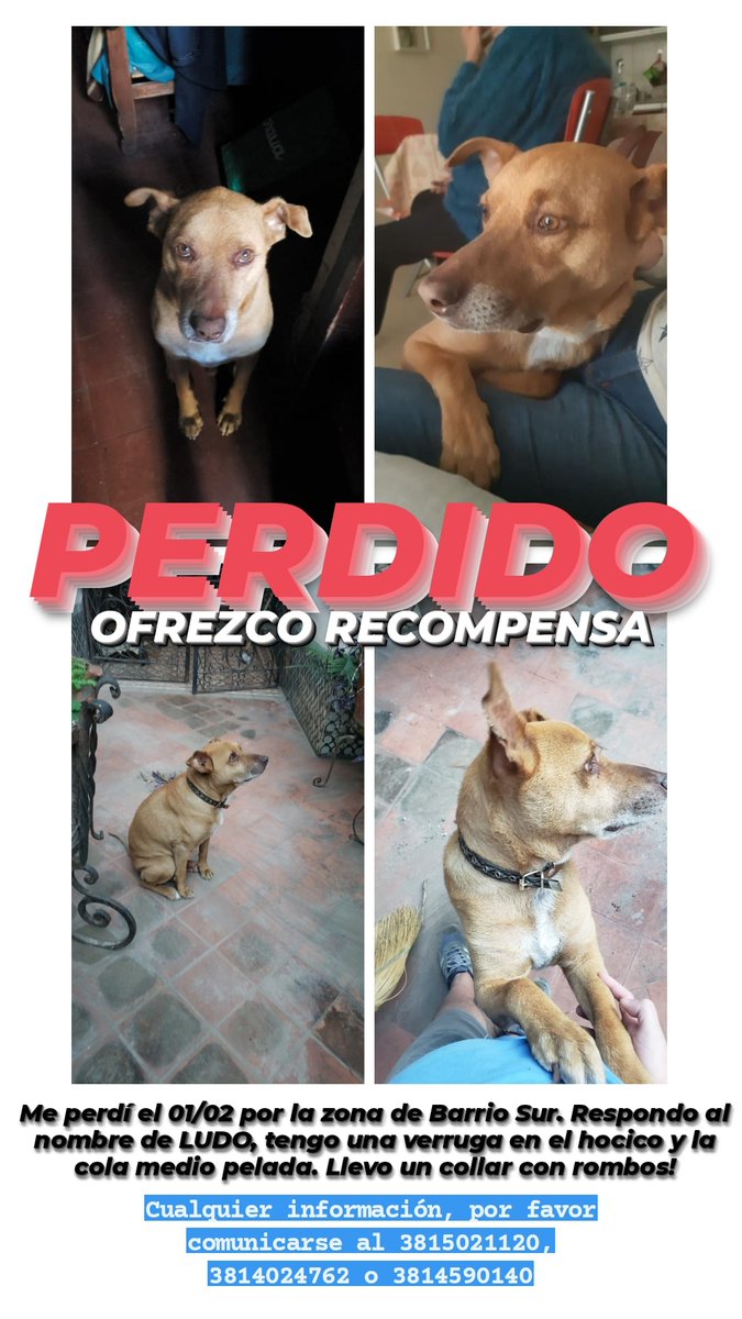Rtw por favor Tucumán 🙏