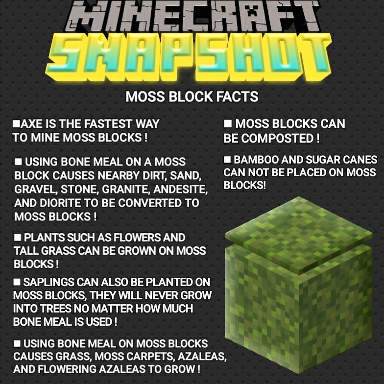 Moss Block in Minecraft