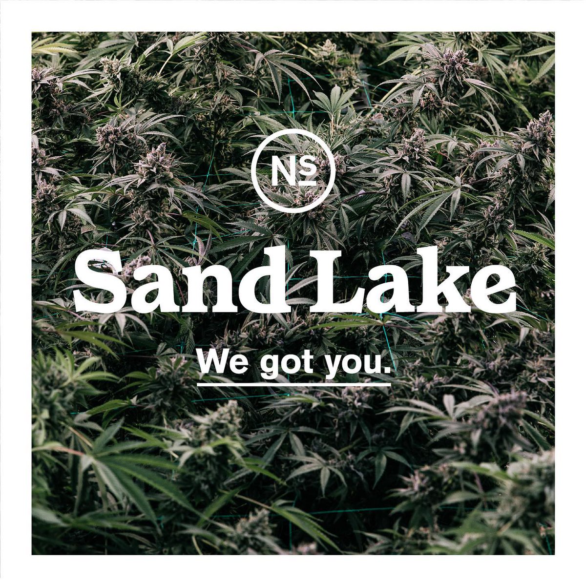 ANewStandardMI's tweet photo. Howdy, neighbors.
-
#WeGotYou https://t.co/WngqXVgrmz
