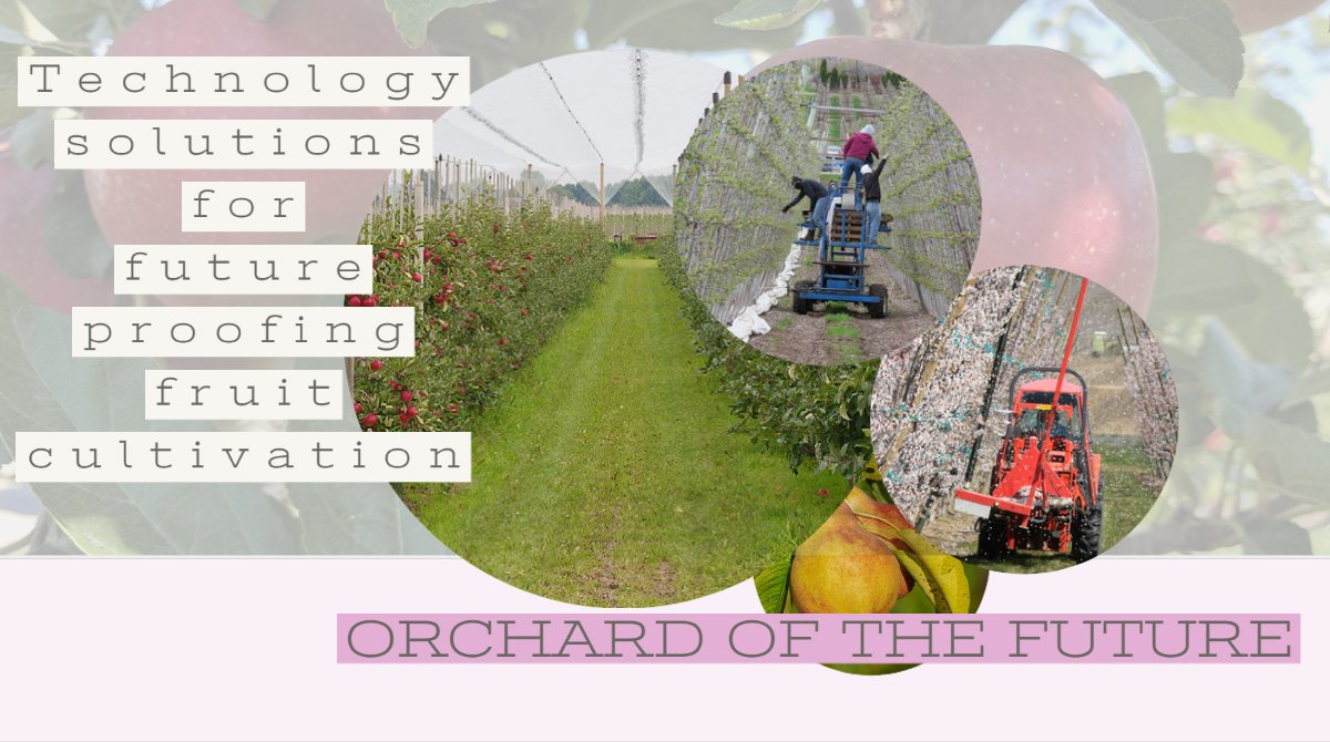 Washington State, California, and the Netherlands agree to collaborate on #fruit orchard automation and robotization. <a href="/WSUTreeFruitExt/">WSU Tree Fruit Extension Team</a>, <a href="/FME_NL/">FME</a>
nl-works.nl/news/view/5798…