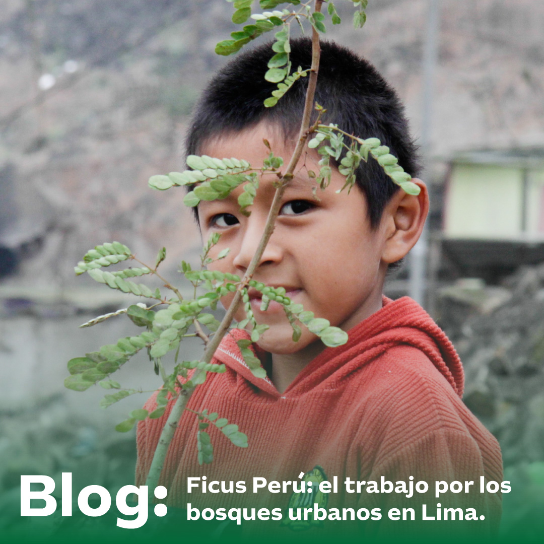 Embajada de Australia en Perú y Bolivia tweet media