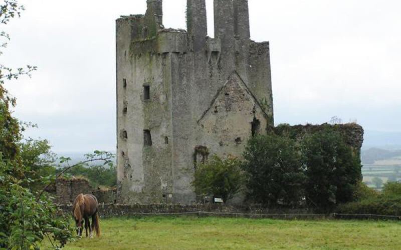 Many Irish believe that the English destroyed most Irish woods. That’s not true & is due in part to a famous 18th C poem (Kilcash) where wood is used as a metaphor for the demise of the local Butler aristocracy. It was the Celts who wiped out most woodland, centuries before