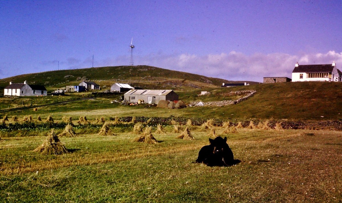 Thanks everyone for the interest in this story. For those who haven't clicked the  @Shetnews link to view the pictures, here are some more photos of Shetland that were salvaged by Paul at the dump: