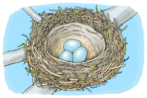 MackinMaker's tweet photo. Can you build a better nest than a bird? Test your material and engineering savvy, and try your hand at it! Here's a fun activity to try at home, or in your #makerspace at school! 

"Build a Bird Nest" via @sciam: https://t.co/g68M3ttRur https://t.co/LMFNGMNPVe