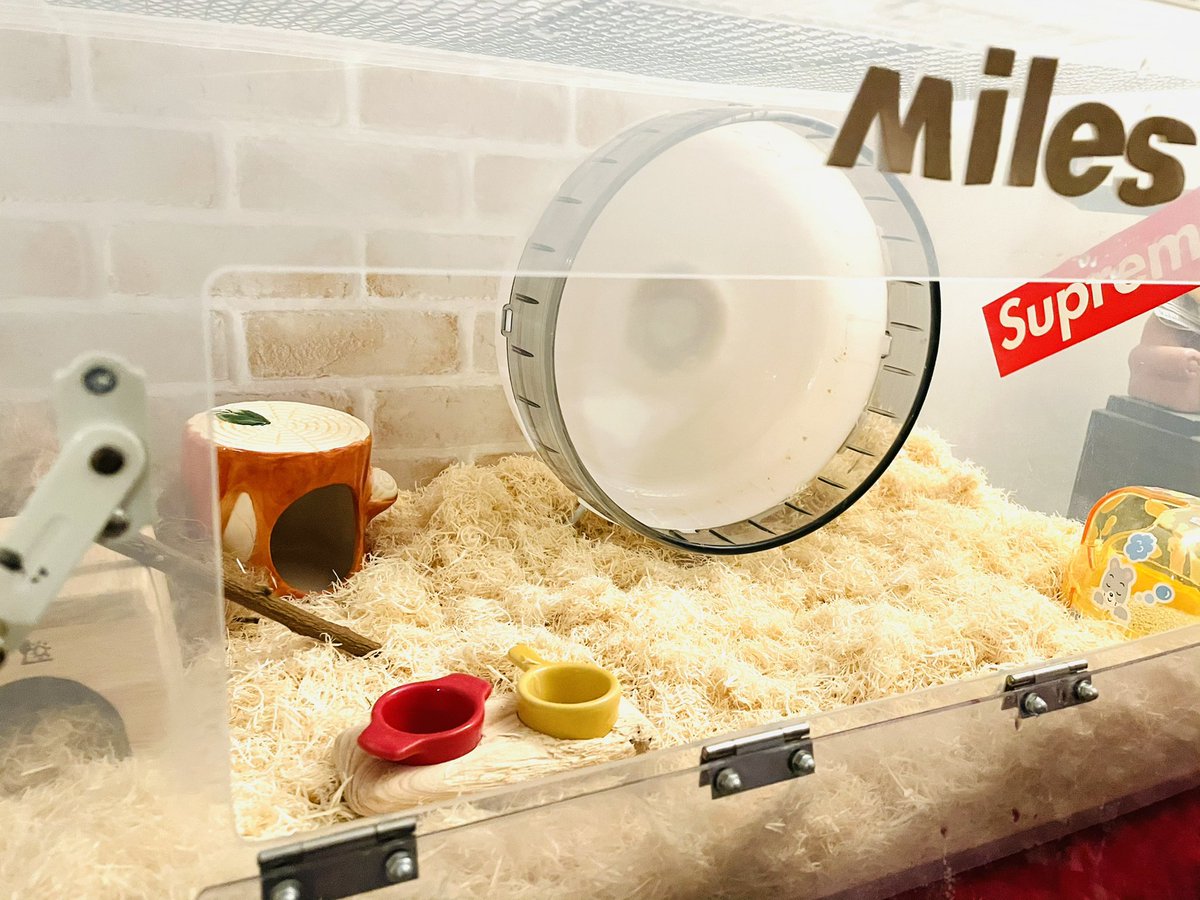mileslife77's tweet photo. 定例のお部屋のお掃除^ ^ https://t.co/FhM6nQtP0N