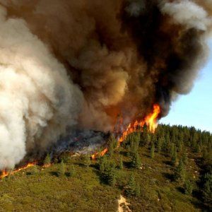 What happens when a carbon sink goes up in smoke?
Fire ecologist Jennifer Balch is studying wildfire-impacted areas in the western U.S. to answer questions about forest recovery and carbon storage potential. 
New blog! buff.ly/3cCLj2J
#remotesensing #fireecology #OpenData