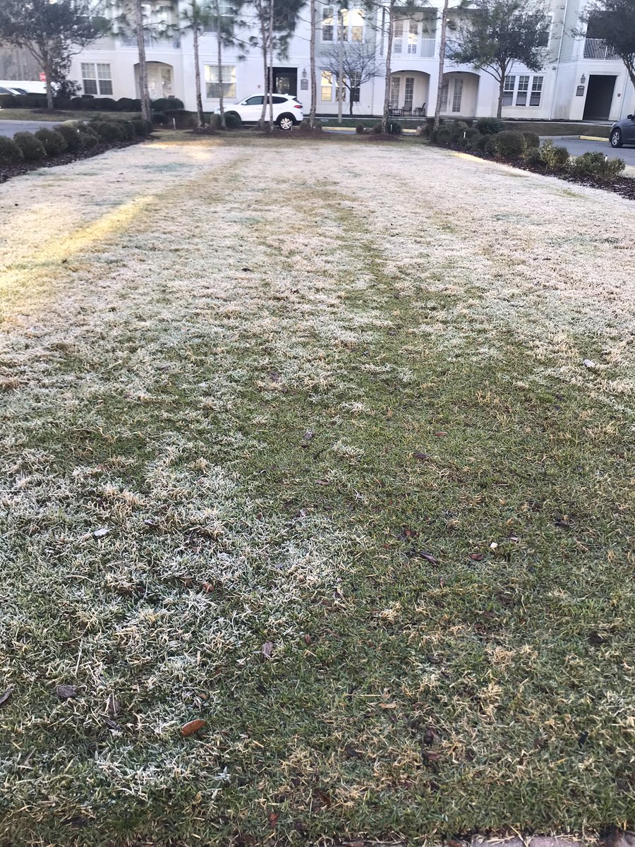 DHeckardWFTV's tweet photo. Frost this morning at my place in Metro #Orlando!
Some areas in Central FL got into the 30s at daybreak! 🥶
We warm up quickly this afternoon, with highs back in the upper 60s.
#flwx #Orlando #FLcold https://t.co/VOssBR6q1r