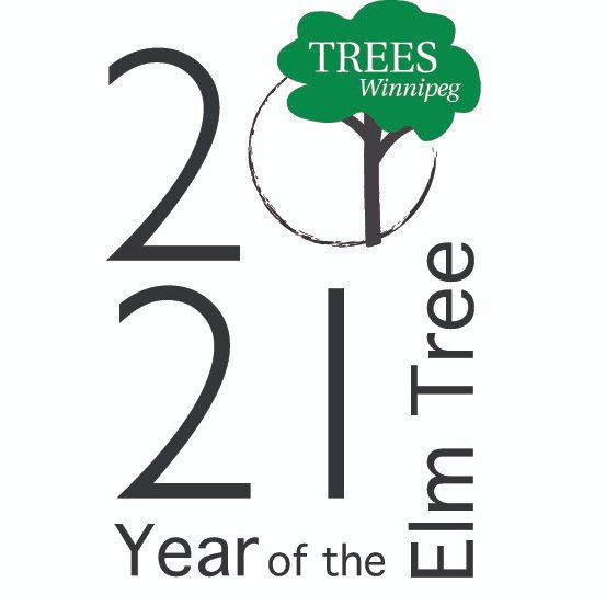 Currently, #Winnipeg still has the largest urban population of American elm trees of any city in North America and possibly the world. 🌎👉 YOU can do something to help slow the spread of #Dutchelmdisease! Fllw as we rollout our Year of the Elm Tree campaign! 🌳 #YOTET #YOTET2021