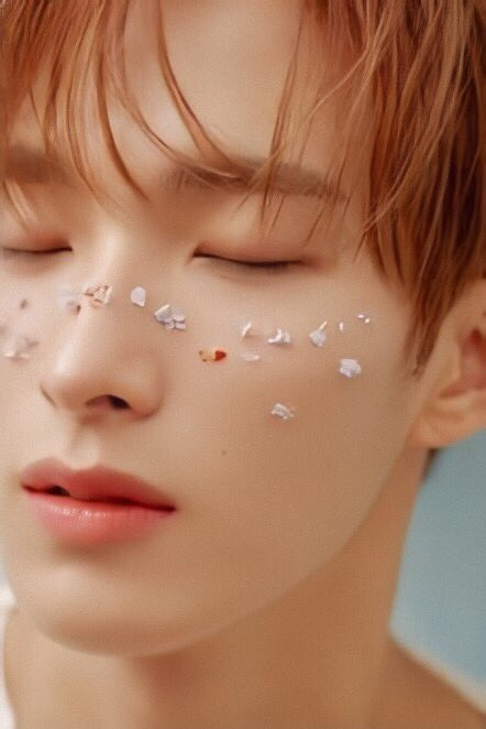hourlysvtskz's tweet photo. #세븐틴 #seventeen #svt #svtskz @pledis_17 https://t.co/ShndhTKZ2o