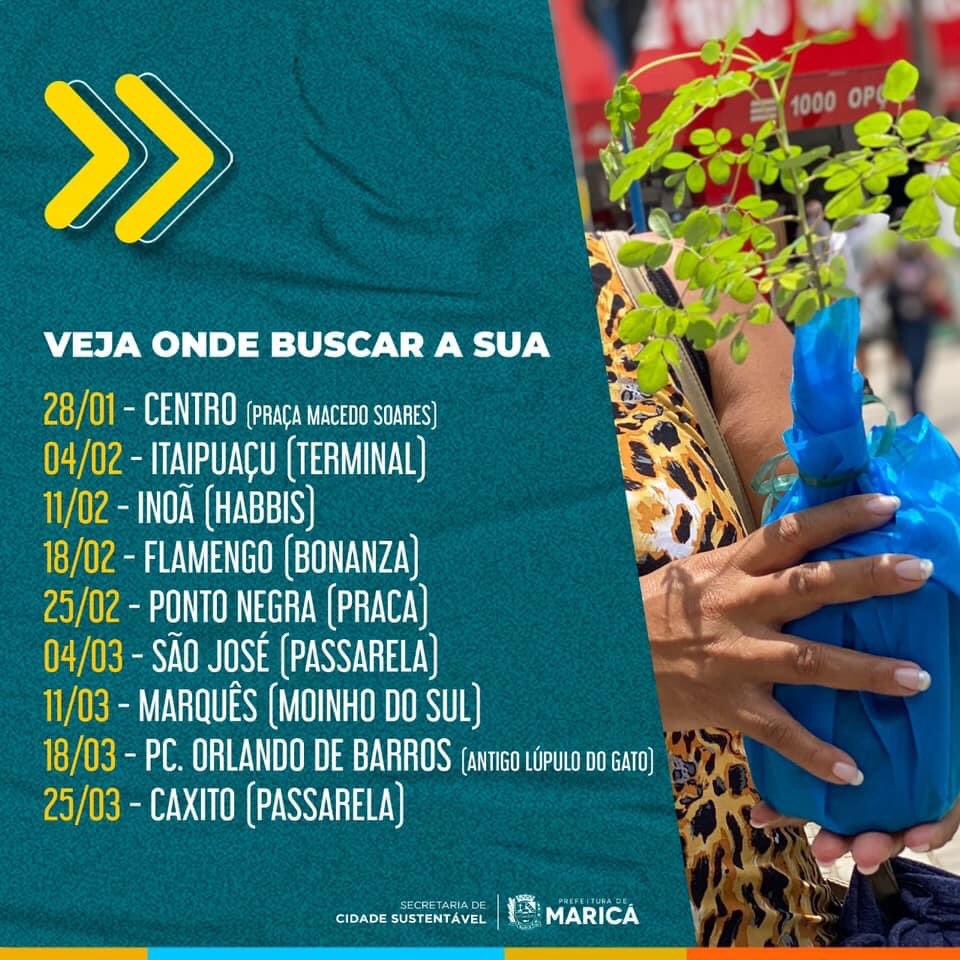 diegozeidan's tweet photo. A partir de hoje você poderá pegar sua muda nativa da Mata atlântica ali no terminal de itaipuaçu, mas acontecerão distribuição destas em outros pontos da cidade, confira o calendário e não perca!  😉🌿🌱🥀 https://t.co/RtkiIzQSyV