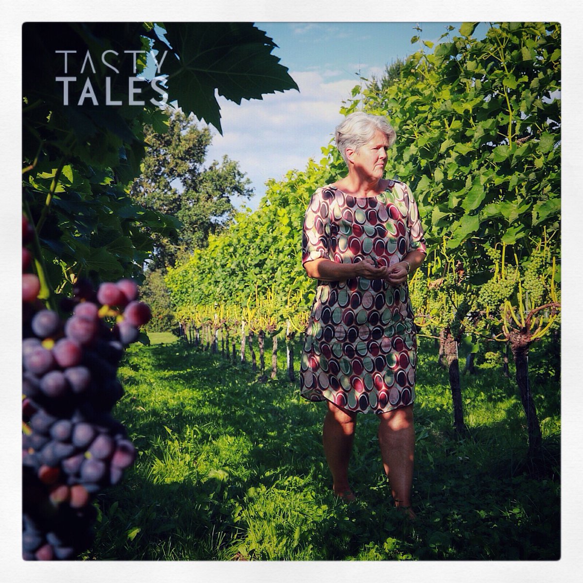 TastyTalesTV's tweet photo. Dutch winery @frysling is owned by Jantiene and Douwe Broersma. An article in a local newspaper about a winery in Friesland triggered something and soon they both realized they were in for the adventure. 🍇🍷🥂🍾🇳🇱 #tastytales #winelover #friesland https://t.co/yTibEM9wtK https://t.co/mB0oKQKYGP