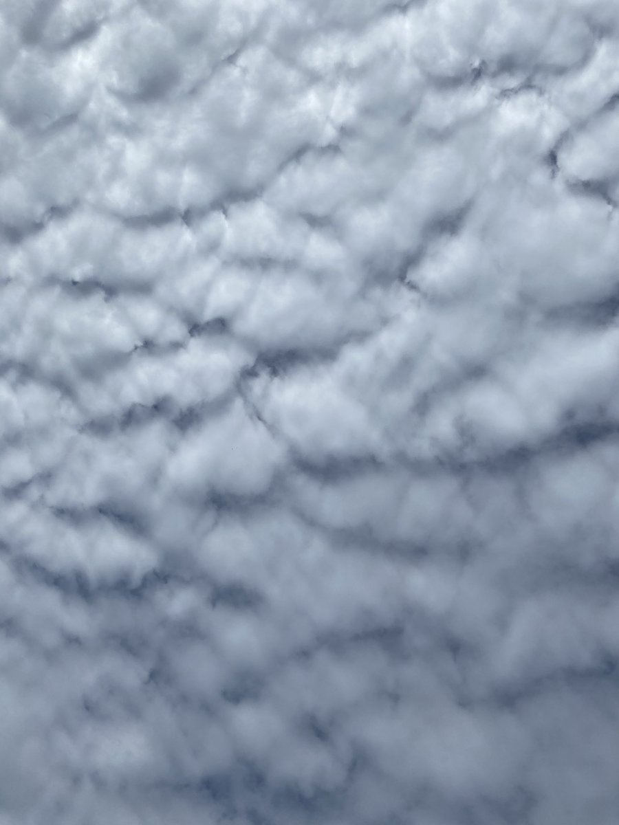 pnut's tweet image. Here, here are some clouds to remind you of the simple beauty all around