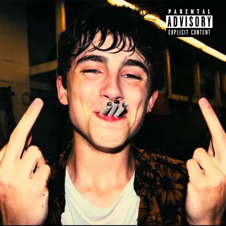 anything can be an album cover: timothée chalamet edition