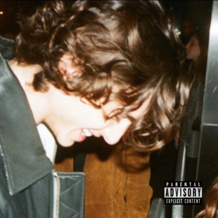anything can be an album cover: timothée chalamet edition