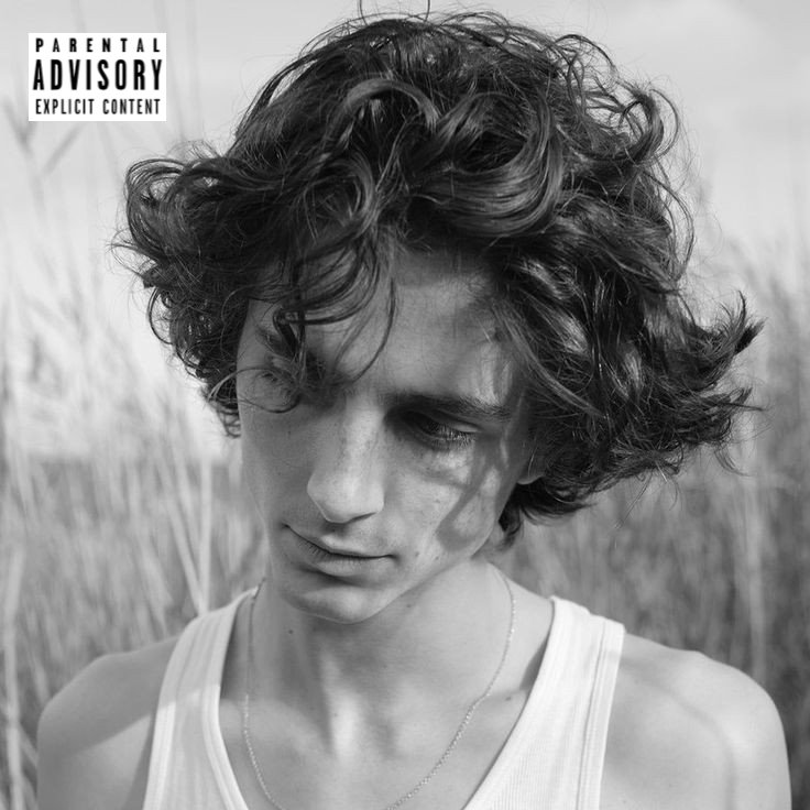 anything can be an album cover: timothée chalamet edition