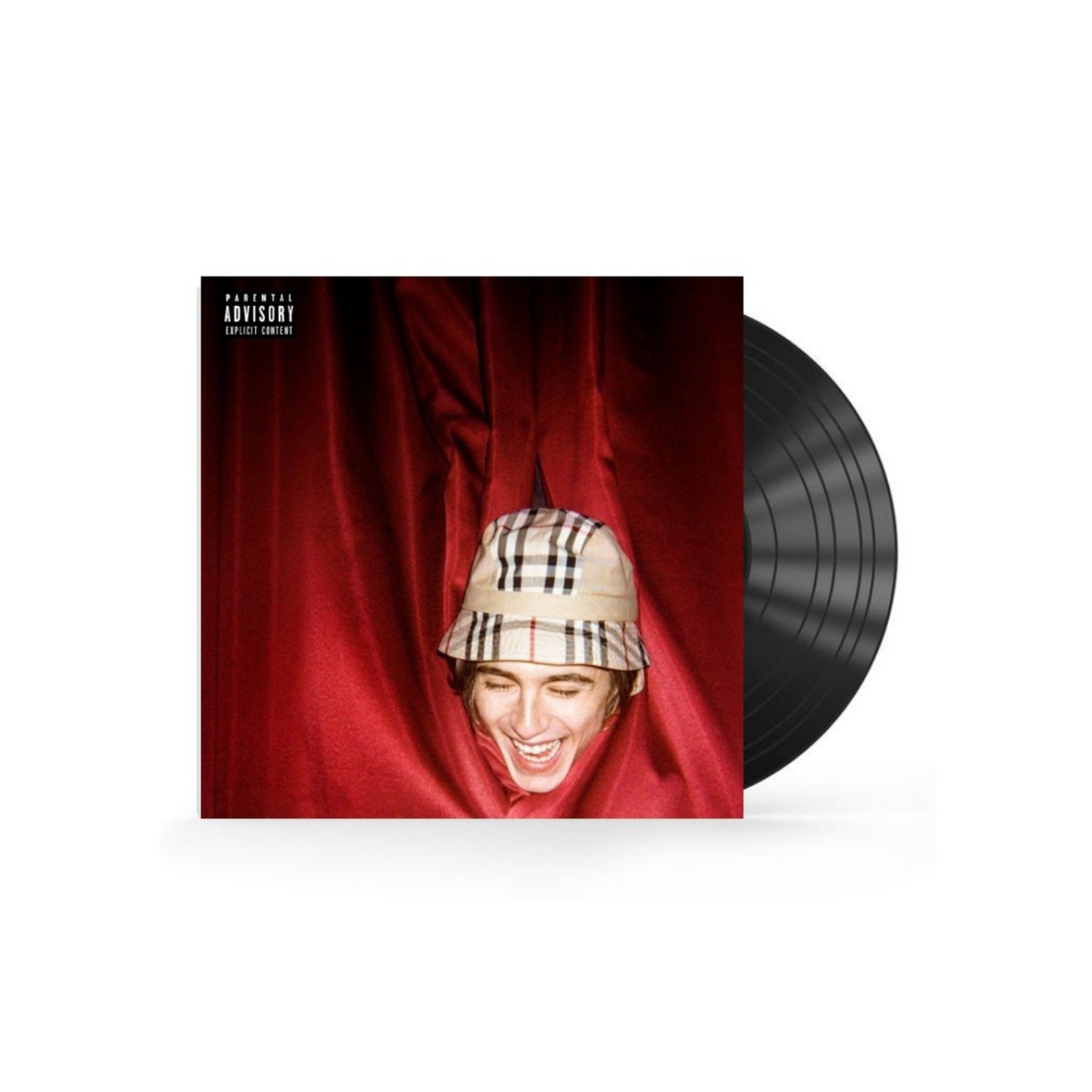 anything can be an album cover: timothée chalamet edition