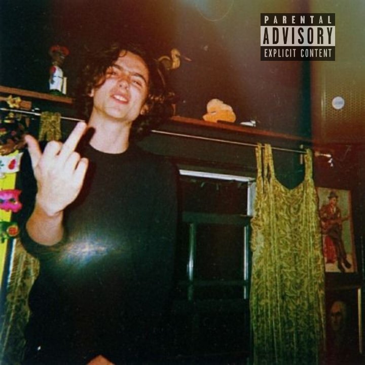 anything can be an album cover: timothée chalamet edition