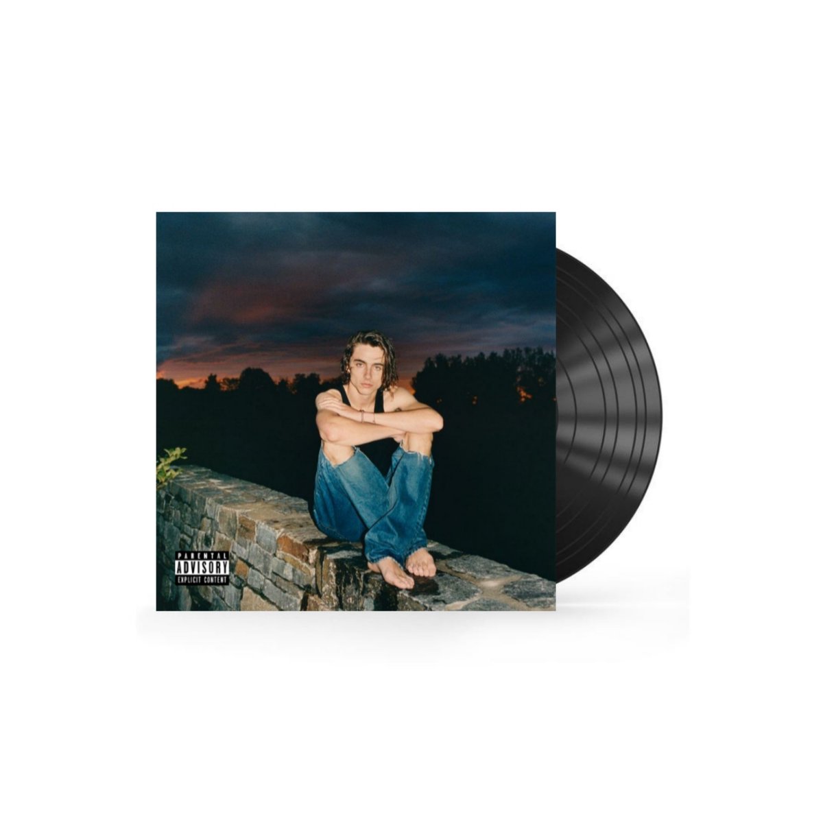 anything can be an album cover: timothée chalamet edition