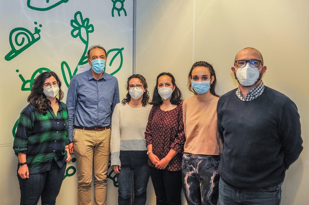Un equipo investigador valenciano ha dado un nuevo paso para facilitar la edición genómica en las plantas. Su avance permitirá la aplicación en estos organismos de los sistemas CRISPR.

Toda la información en <a href="/AgroNewsCV/">AgroNews Comunitat Valenciana</a>:

agronewscomunitatvalenciana.com/corta-y-pega-g…