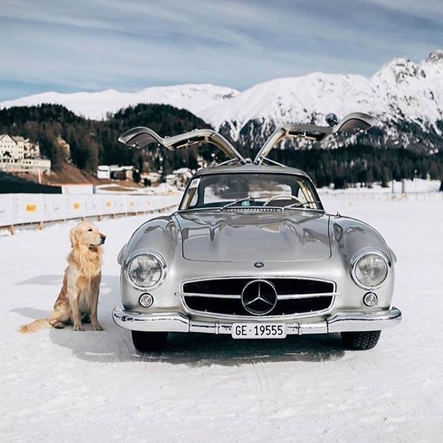 luxury_panache's tweet photo. Mercedes-Benz 300SL 🖤
https://t.co/0mWurPq8dw
#gentlemanstyle #classydapper #highclassapproved #luxurylifestyle #millionairegoals #theluxurylife #luxuriouslife #richlifestyle #luxurycars #Mercedes #MercedesBenz #uberpanache https://t.co/NzYINW5kHf