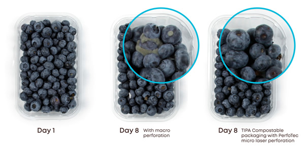 New compostable packaging can double shelf-life of fresh produce - <a href="/PerfoTec/">PerfoTec - Best for Freshness</a>
freshplaza.com/article/929087…