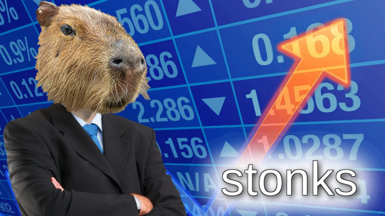 buying a no pot capybara off of starpets｜TikTok Search