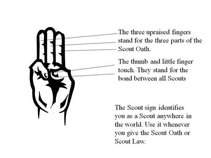 Marking out. Fingers in english. пальцы рук на английском. Finger out перевод. How to get rid of fat fingers.