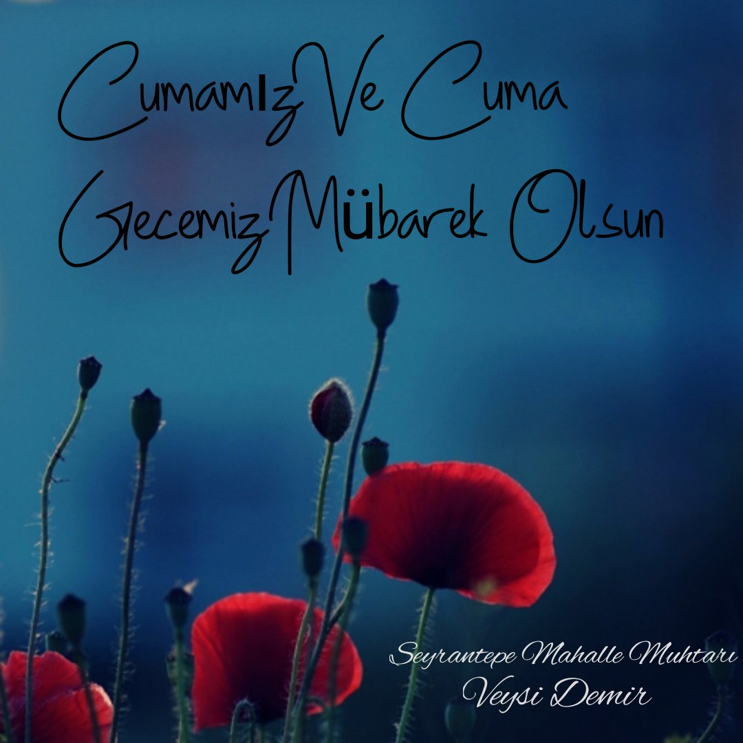 Veysi Demir (@muhtarveysidemr) on Twitter photo 