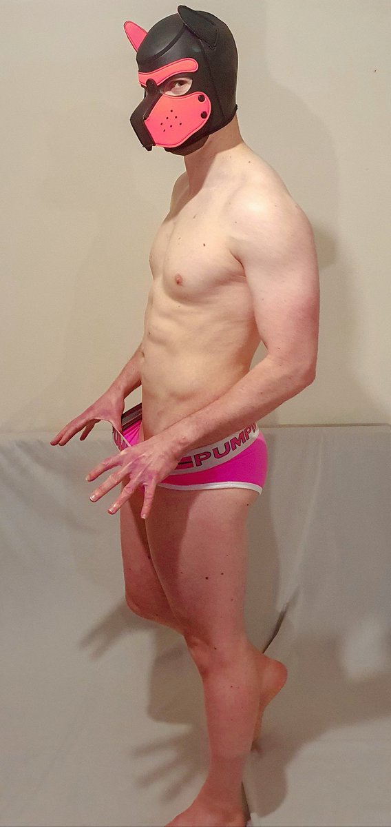 CobaltTheDog's tweet photo. Clothes are wayyyy overrated 😁😅 https://t.co/cTQGsxHfSS