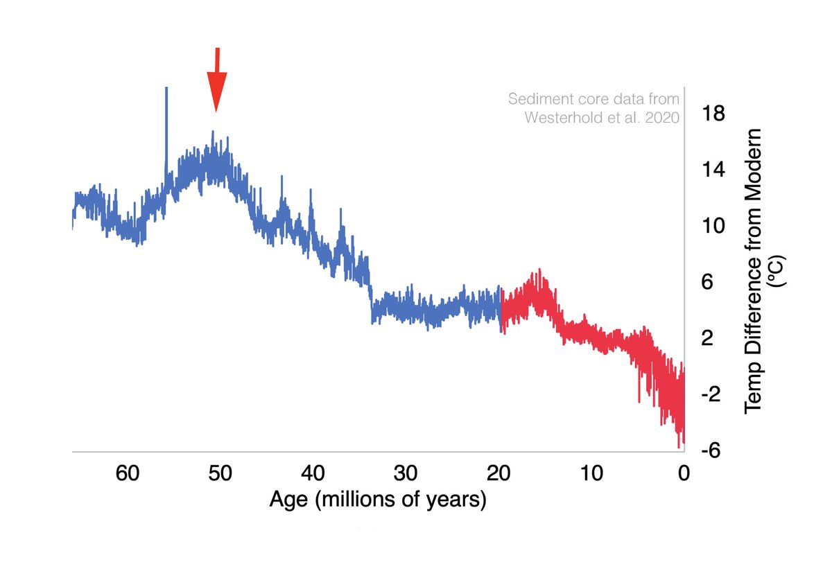 Everything described so far (16 million years of climate change) is now crowded to the right side of the graph. As CO2 climbs and the planet warms we end finally in the Early Eocene 50 million years ago--one of the hottest periods in the history of animal life. CO2 is 600-1400ppm