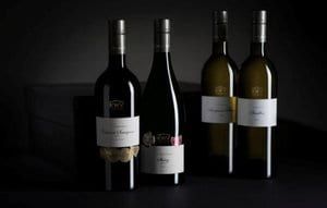 SlurpWine's tweet photo. A great article from @LeSommelier1 @AnnaCaidan featuring one of our favourite winemakers @Izelevb 
KWV South Africa: Portrait of a winemaker
In conversation with Izele Van Blerk, Mentors winemaker at KWV in South Africa https://t.co/TFoT3qhU0W
#drinksouthafrican #wosa https://t.co/znpGqOetc9