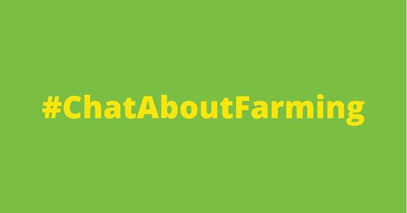 We shall be hosting a Twitter Chat titled #ChatAboutFarming tonight at 19:30hrs. Be sure not to miss. Tag fellow farmers and turn on notifications. We shall be using the tag #ChatAboutFarming