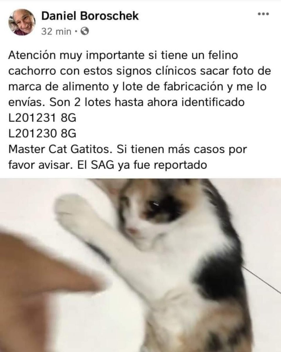 AnimalParaiso's tweet photo. Importante: suspender alimento MASTER CAT GATITO, si hay casos parecidos acudir al veterinario a la brevedad y guardar alimento o número de lote en caso de futuras demandas. 

Favor compartir. 🙏 https://t.co/MaR6ZFS8iD