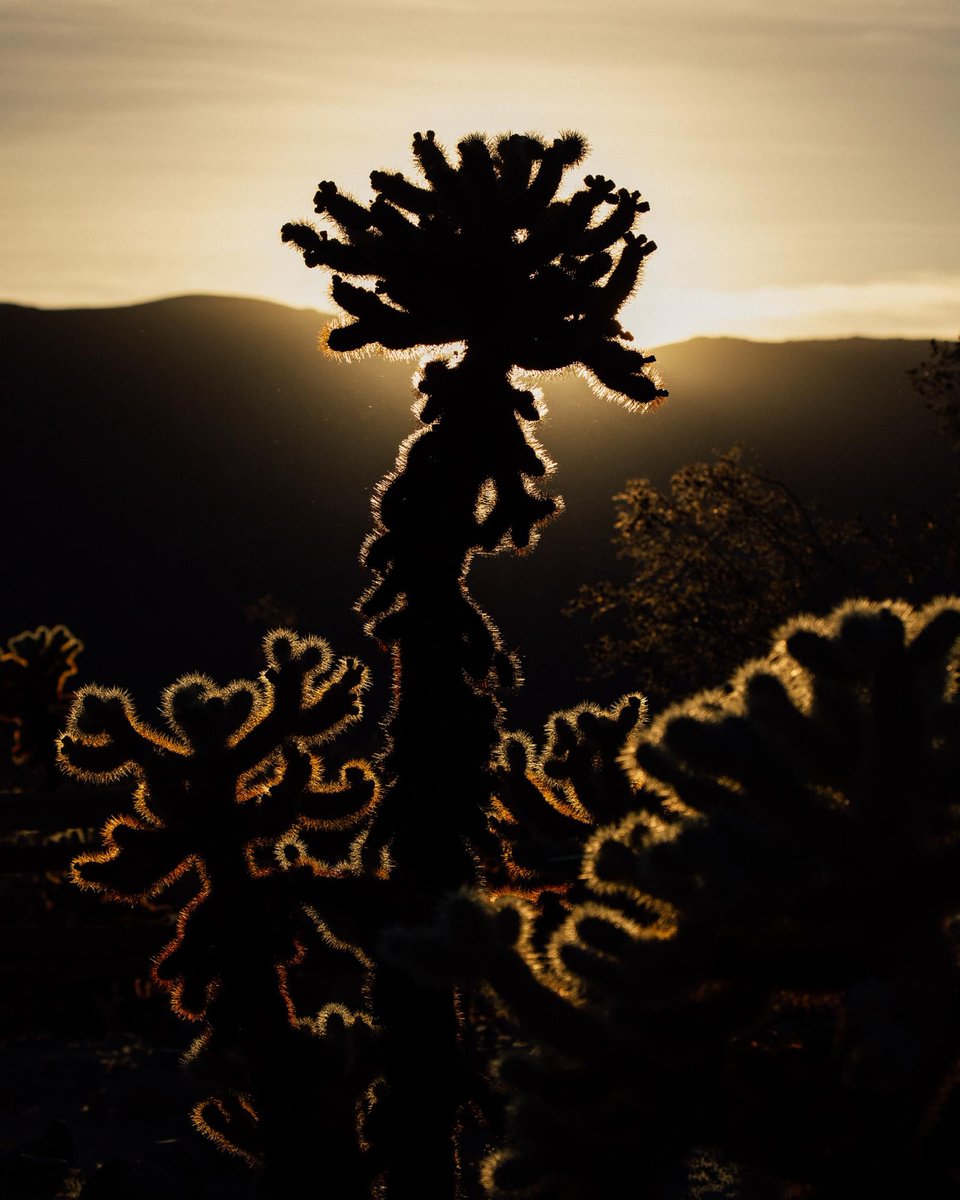 12 ways to travel sustainably in the new year via @natgeo (with a special shout out to <a href="/biosphereexped/">BiosphereExpeditions</a>): nationalgeographic.com/travel/2021/01… #exploreresponsibly #travel #sustainabletravel #citizenscience #GetOutdoors #ethicaltravel