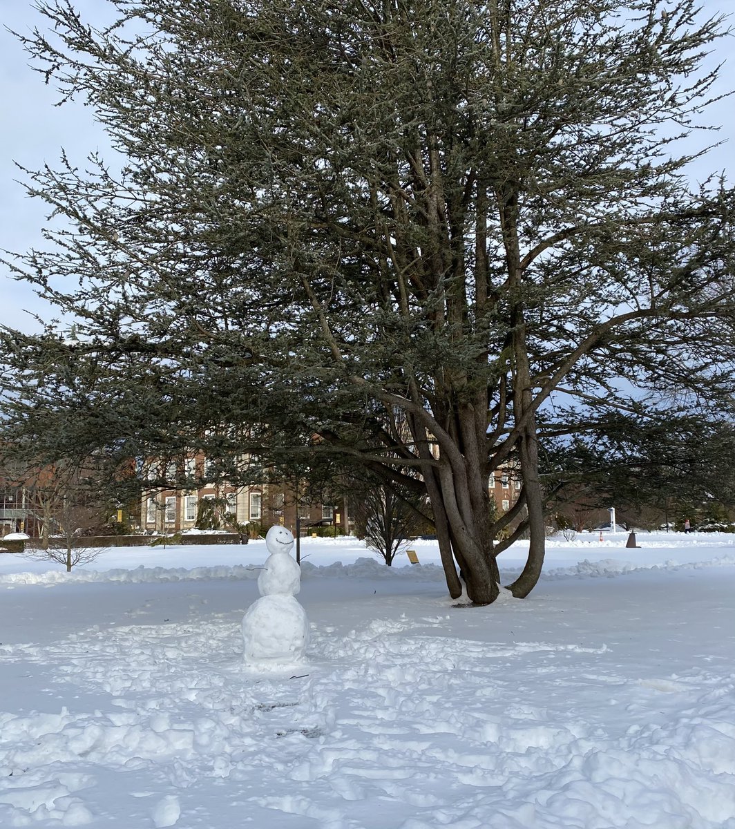 AdelphiU's tweet image. Do you want to build a snowman? #WinterAtAdelphi