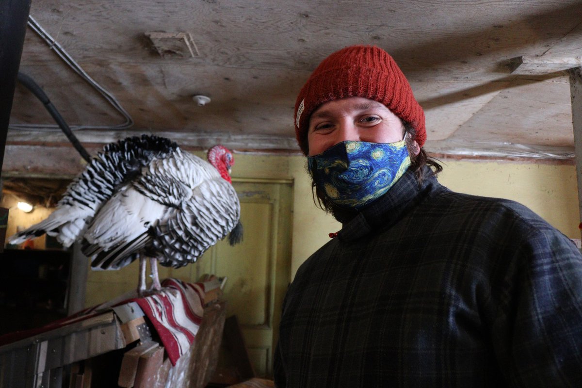 hiattabends's tweet photo. Got to interview my new pal Tim the Turkey about @WpgVegFest 's first-ever Le Vegan Week and how much their support means to him and the rest of the gang The Good Place Animal Sanctuary. #RRCTV https://t.co/HlSswwcv4M