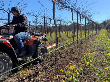 kurtural's tweet photo. Our understanding of soil-grapevine-atmosphere continuum is improving with #proximalsensing. Our paper examined using EMI sensing to convert soil ECa to plant water status and vineyard zoning for #irrigation. Check it out: https://t.co/i4S6m3n3c0 https://t.co/gJ2OC492LA