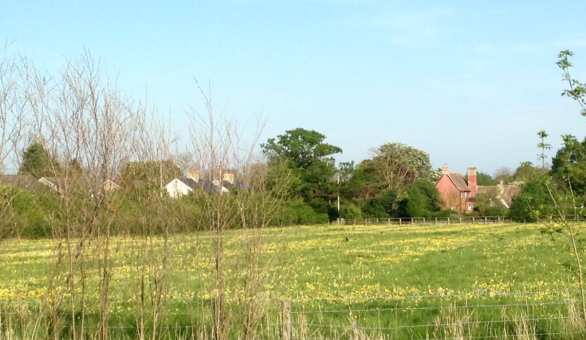 12. Waterlogged, hummocky, this was land that was very difficult to plough before the modern era. Some carries faint traces of medieval ridge & furrow, like that outlined by buttercups here - the same field across which my boots were squelching.