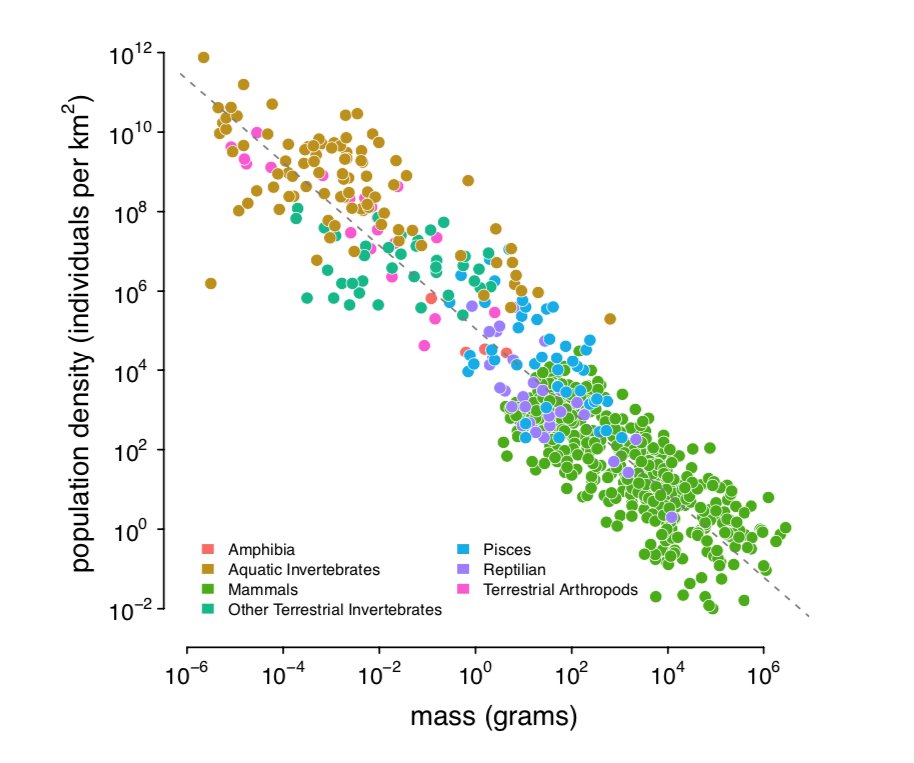 Damuth ('87) has shown that across metazoans there's a beautiful relationship between pop density and body size (right) which I combine with ranges I estimated from occurrence data for 172 species. With π estimates from  @ellenleffler's and other surveys, I get (left):
