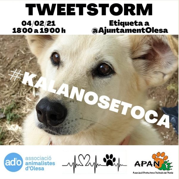 ADDAONG's tweet photo. ¡Después de un año decomisada, Kala no se devuelve!! @AjuntamentOlesa  
#kalanosetoca
Units/es, som més forts/es!!!🙌🗣️ https://t.co/tbdSbrOZ2a