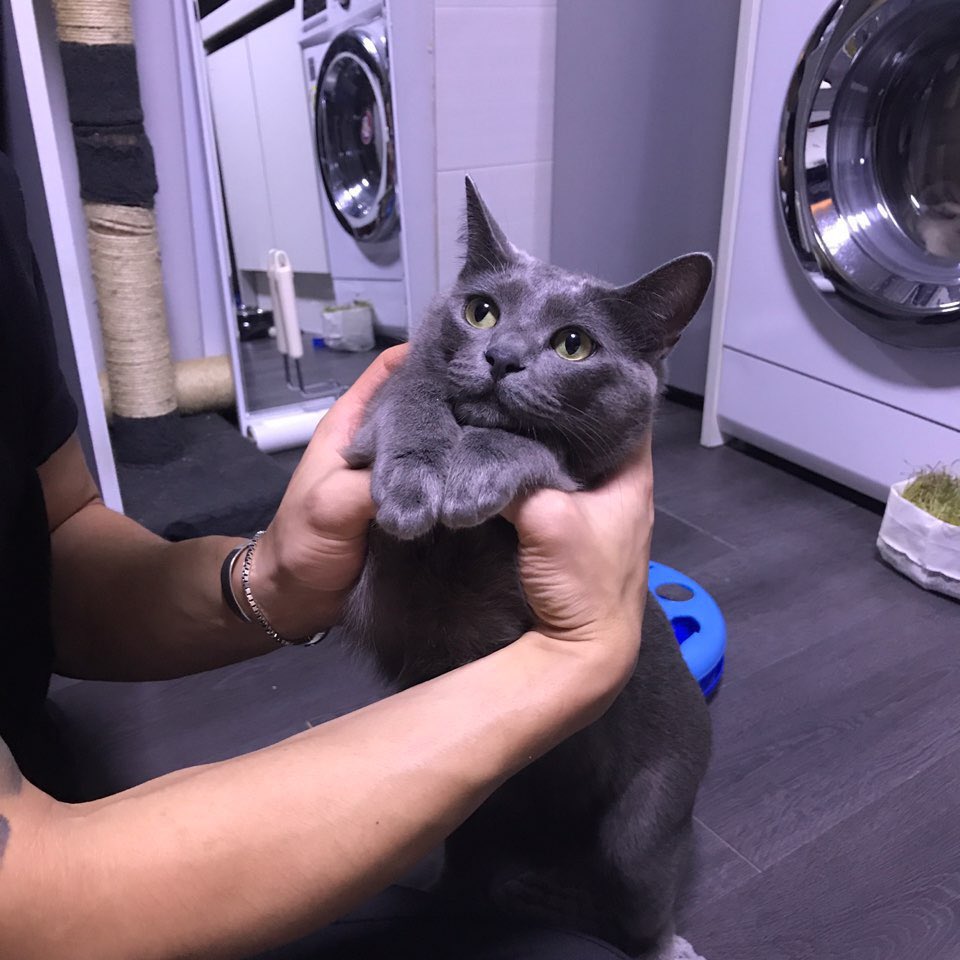 하 함께 하실분 ..뭐든??
항상 죠스랑 둘이네 😭

#섹트