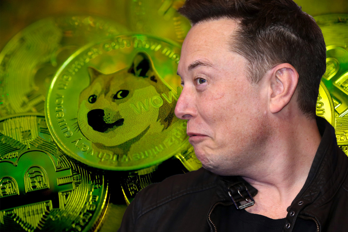 Elon Musk gets back on Twitter, sends Dogecoin soaring