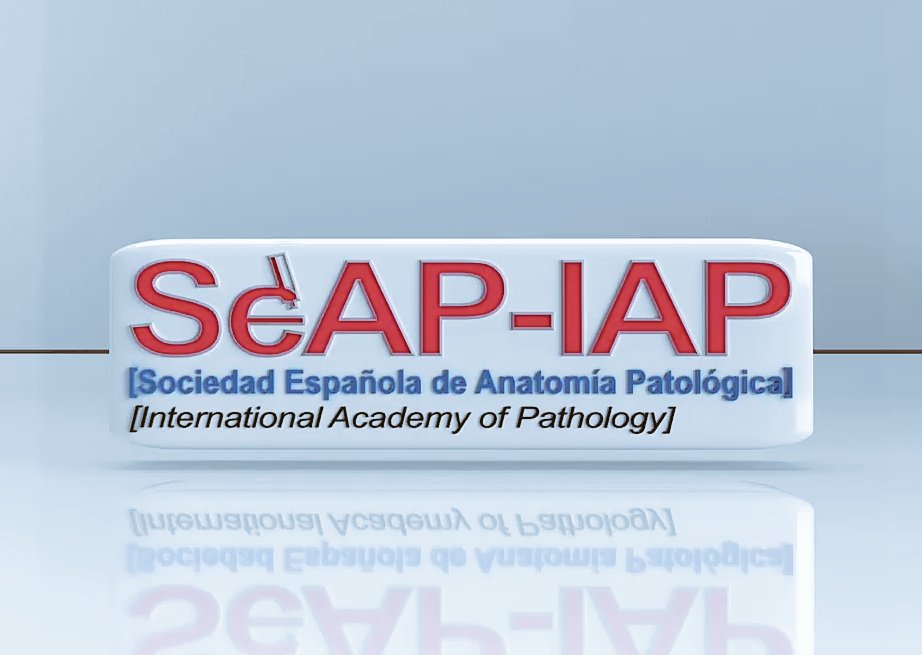 edusqo's tweet image. Dicen que si no estás cometiendo ningún error es que no estás innovando.
Momentos para el recuerdo en #SEAP2021 @SEAP_IAP, con los Drs. González-Cámpora, Palacios y Prat.
XLIV Reunión Anual de la Sociedad Española de Anatomía Patológica.
#DiaMundialContraElCancer
#WorldCancerDay