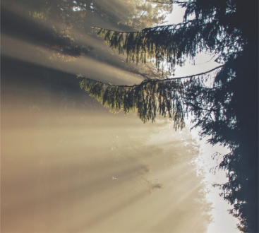 Tonight @ 8:00 pm: Learn about Elijah the Prophet, who comes to every Passover Seder! In person / on Zoom
Chabadjewishlife.org/redemption