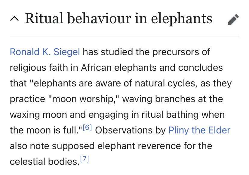 Scholf_A_Loaf's tweet image. Why did no one tell me Elephants have religion and observed to Worship the Moon? Who has been keeping this information from me??