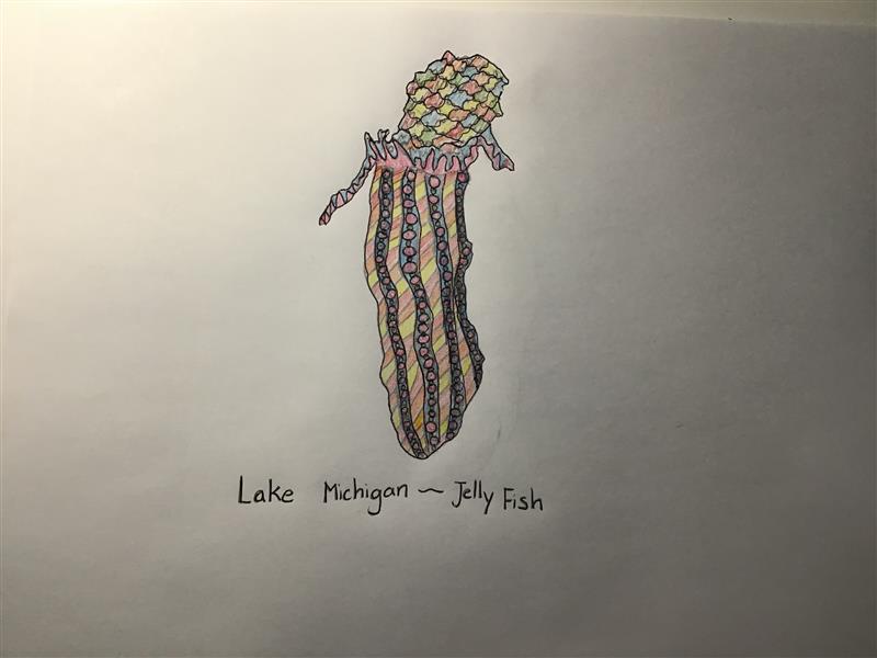 dalgleish_jeff's tweet image. Some of my amazing students produced beautiful Indigenous art works after a webinar from @RedSlam. Thanks to #AGOschools for some amazing content today :) #RayLewis